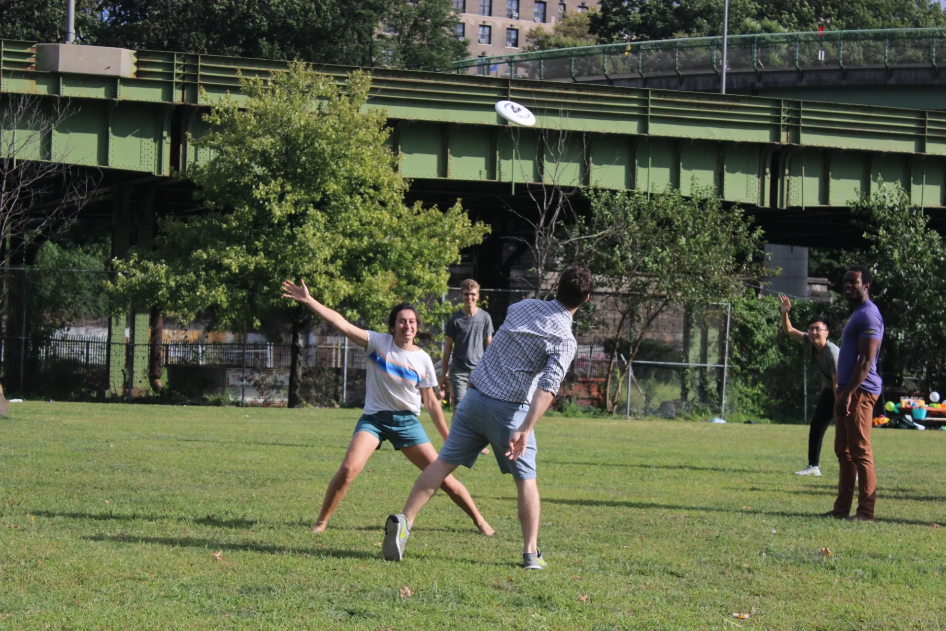 BBQ frisbee 